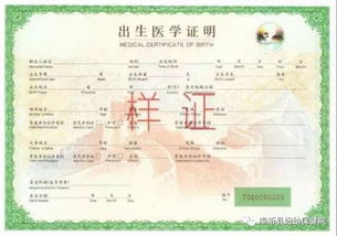 如何制作出生证范本？开启副业新思路！