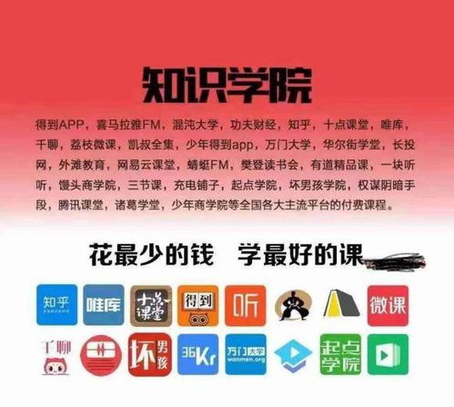 如何通过自动化副业实现高效盈利？