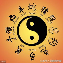 什么样的八字命理能带来财富滚滚？