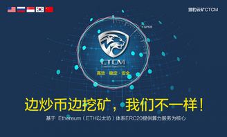 现在哪个网盘项目最具盈利潜力？