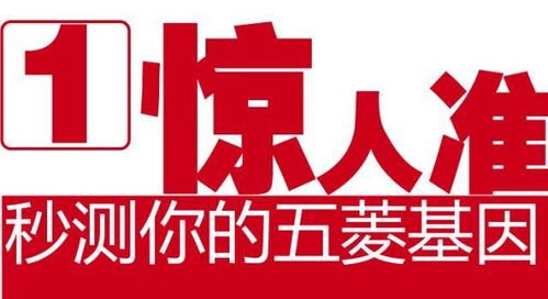 广东开平市最新兼职机会来袭，你准备好了吗？