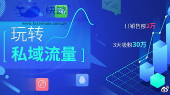 如何通过提升配音浏览量实现高效变现？
