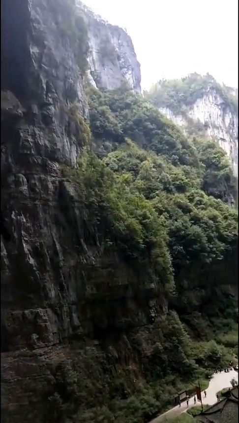 如何在深山老林中找到生财之道？