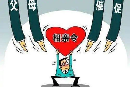 单身父母投身自媒体，能否实现稳定收入？