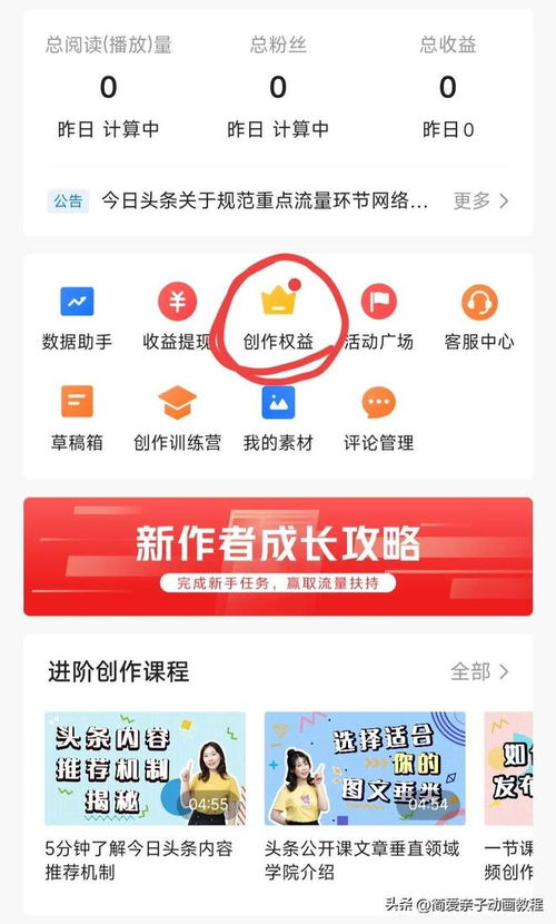 如何在头条平台上发布视频并实现盈利？