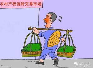农民有哪些途径可以增加收入？