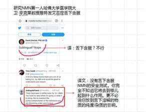 小野日记副业真的值得信赖吗？它的实际效果如何？