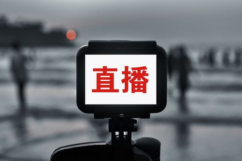 如何选择适合自己的副业创业项目？图文详解助你成功起步