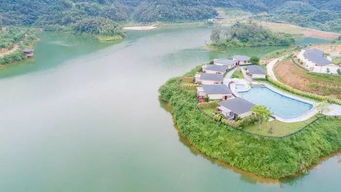 水库畔开设民宿，盈利前景如何？