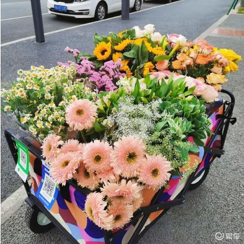 地摊卖花真的能赚钱吗？摆摊卖花利润如何？