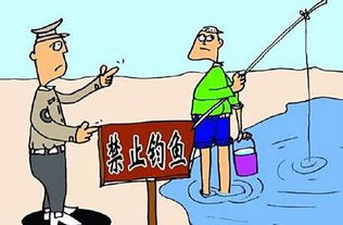 如何将钓鱼爱好逐步转变为稳定副业？