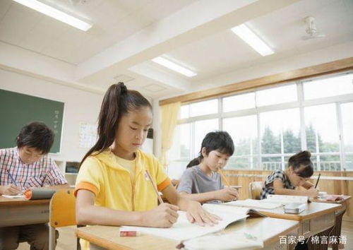 学生如何助力父母开拓副业之路？