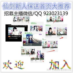 东北主播如何实现高收入？赚钱秘诀在哪里？