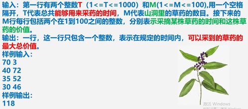 他如何将采草药发展成副业？