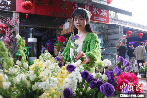 如何在花鸟市场中找到盈利点？