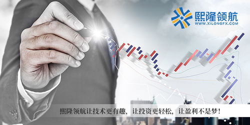 理财达人真的能通过投资实现财富增长吗？