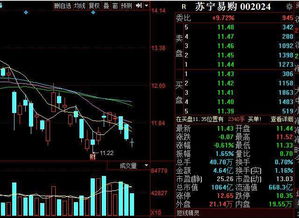 双十一期间，如何通过股票投资实现盈利？