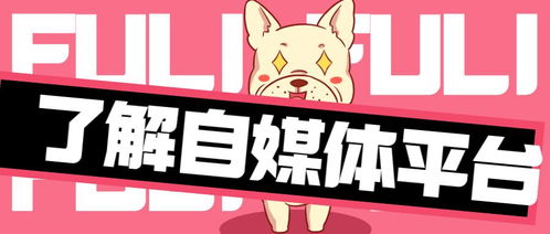 农村副业养鸡真的能赚钱吗？新手入门需要注意哪些关键点？