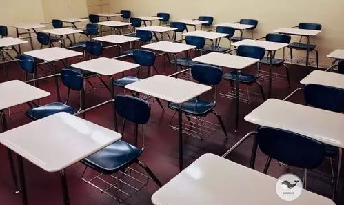 国际学校老师是否普遍拥有多项副业？