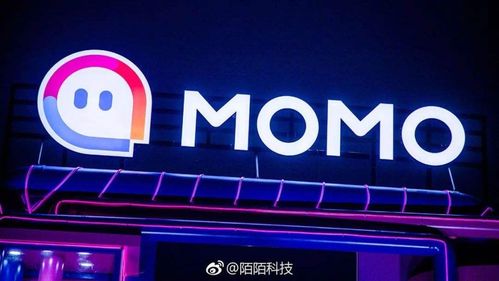 如何利用陌陌女号实现高效盈利？
