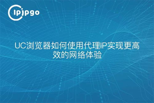 如何通过头条优质问答代理实现高效盈利？