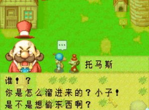 如何在牧场物语矿石镇与伙伴们共创财富？全面攻略解析