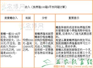 养鳝鱼真的能带来可观收益吗？经济效益分析告诉你答案