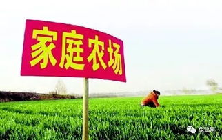 如何打造盈利最高的家庭农场模式？成功秘诀在哪里？