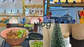 小海鲜vlog真的能盈利吗？新手入局能赚钱吗？