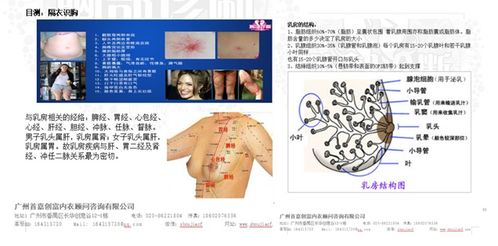 哪些品牌是微商内衣代理的首选？探索十大畅销内衣品牌代理优势