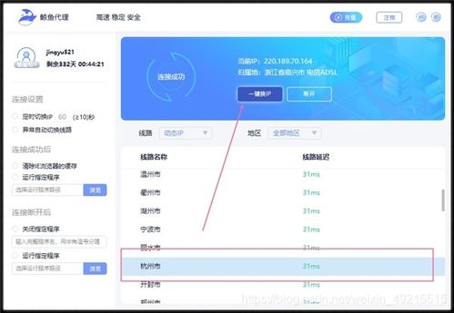 如何操作打码换IP软件？使用方法详解指南