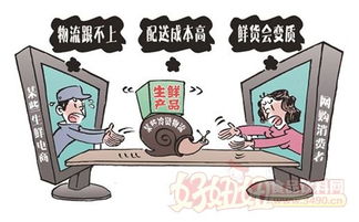 如何在网络上销售农产品实现盈利？