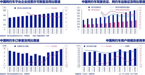 如何在万源市通过开网约车实现高效盈利？