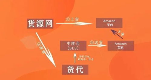 猫砂副业真的能赚钱吗？新手如何入门并成功运营？