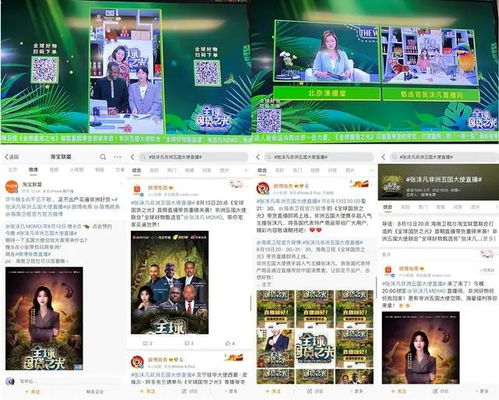 淘宝联盟直播带货真能盈利吗？实操效果如何？