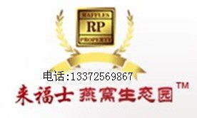 普通人投资理财真的能轻松赚钱吗？揭开赚钱难的真相