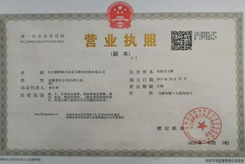 如何合法办理跨境副业营业执照？新手必看指南