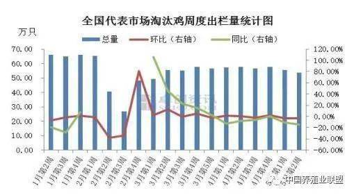 鳑鲏养殖能否带来可观收益？新手入行前必看的经济分析