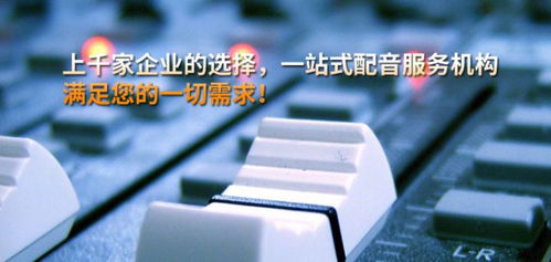想要通过动画配音实现盈利，需要掌握哪些关键技巧？