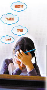学校真的能赚钱吗？背后真相究竟如何？