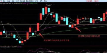 女性炒股获利，是否仅凭偏财运支撑？