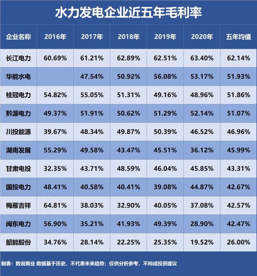 哪家电力公司盈利能力更强？比较各大电力企业赚钱情况
