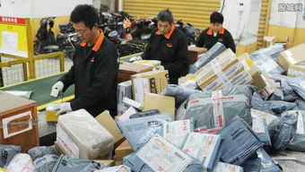深圳快递店如何巧妙拓展副业？盈利秘诀在哪里？