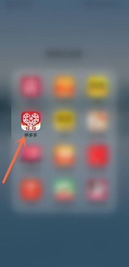 拼多多助力邀请码使用方法详解，新手如何快速上手？