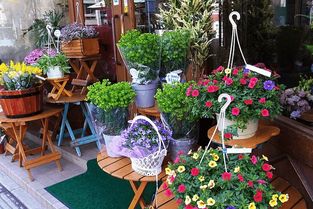 花店除了卖花还能做哪些副业赚钱？