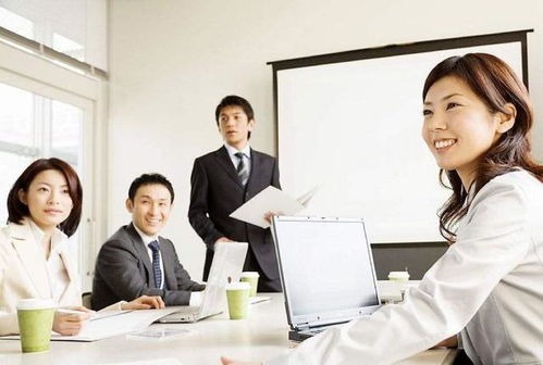 如何在东北找到高薪工作机会？