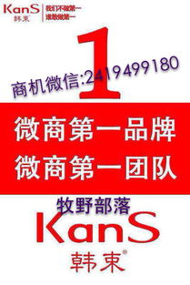 微商是否也在街头摆摊？探索他们的多元化销售之路