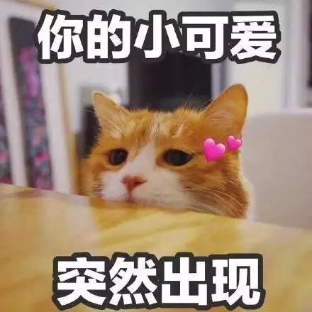 猫咪经纪人副业真的能赚钱吗？带你了解这个新兴职业的内幕！