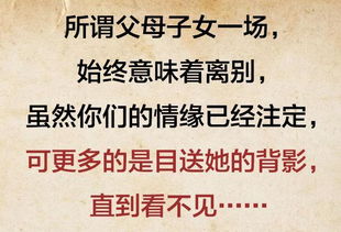 远嫁女如何巧妙赚钱？一部现实题材小说的深度探讨
