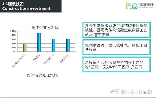 租房时养什么宠物或植物能带来额外收入？